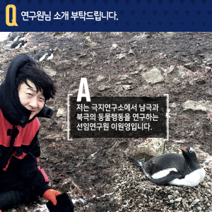 극지에서 동물행동연구…"죽기살기 노력보다, 좋아하는 연구를"2에 관한 인포그래픽입니다. 자세한 사항은 하단에 있습니다.