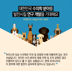 동물치료 융합시대…수의학에 재생의학 접목으로 세계 선도12에 관한 인포그래픽입니다. 자세한 사항은 하단에 있습니다.