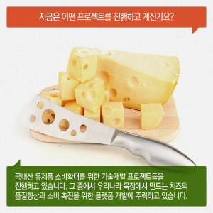 국산 치즈 위한 플랫폼 연구자 "평생 연구하는 직업 행운"4에 관한 인포그래픽입니다. 자세한 사항은 하단에 있습니다.