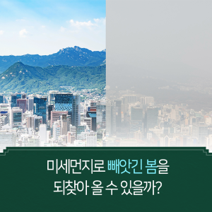 미세먼지로부터 빼앗긴 봄을 되찾겠다1에 관한 인포그래픽입니다. 자세한 사항은 하단에 있습니다.