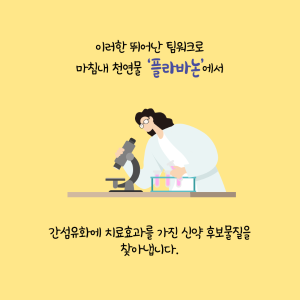치료제 없는 간섬유화, 천연물로 희망의 길을 열다13에 관한 인포그래픽입니다. 자세한 사항은 하단에 있습니다.