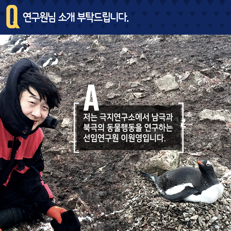 극지에서 동물행동연구…"죽기살기 노력보다, 좋아하는 연구를"2에 관한 인포그래픽입니다. 자세한 사항은 하단에 있습니다.