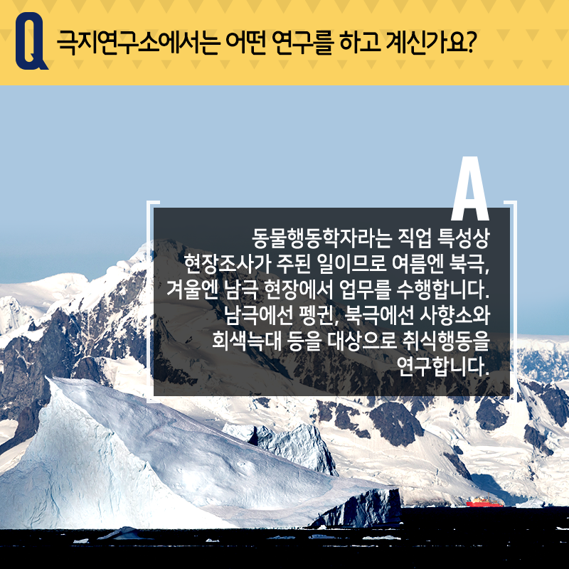 극지에서 동물행동연구…"죽기살기 노력보다, 좋아하는 연구를"3에 관한 인포그래픽입니다. 자세한 사항은 하단에 있습니다.