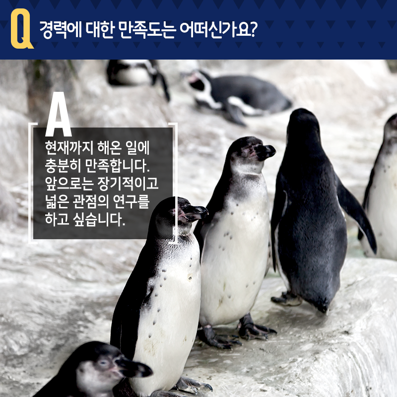 극지에서 동물행동연구…"죽기살기 노력보다, 좋아하는 연구를"8에 관한 인포그래픽입니다. 자세한 사항은 하단에 있습니다.