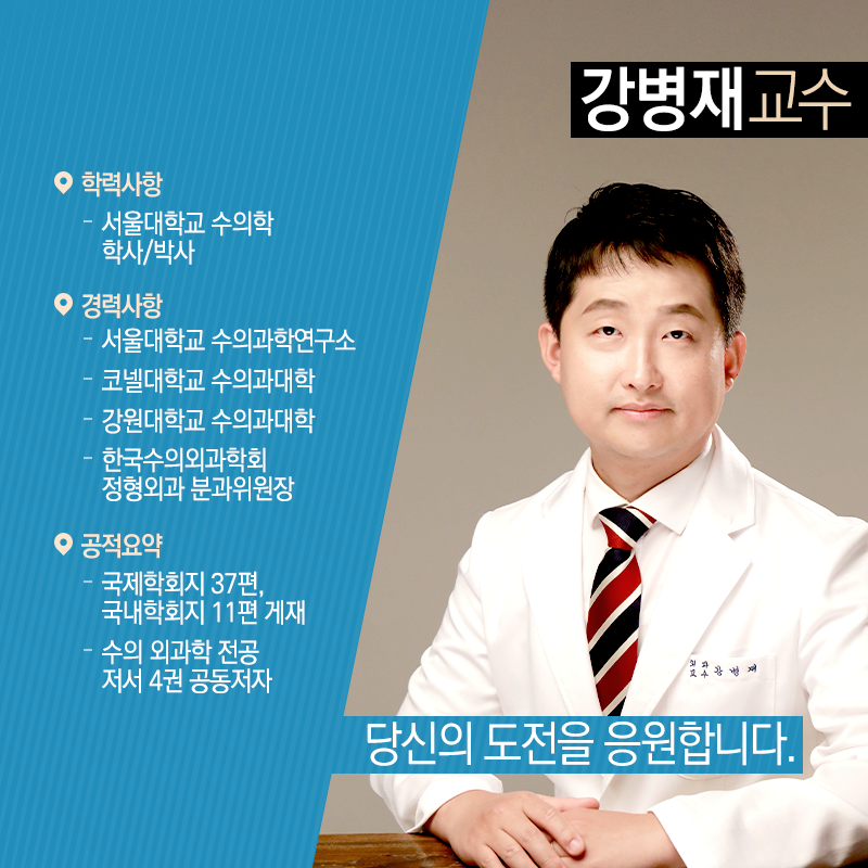 동물치료 융합시대…수의학에 재생의학 접목으로 세계 선도2에 관한 인포그래픽입니다. 자세한 사항은 하단에 있습니다.
