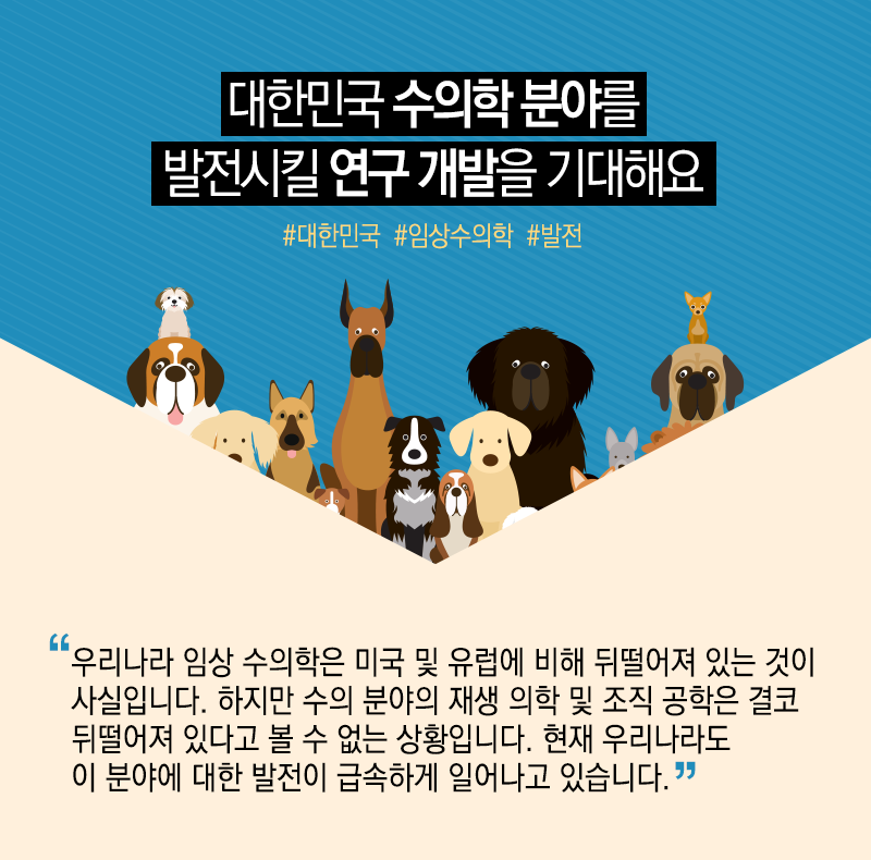 동물치료 융합시대…수의학에 재생의학 접목으로 세계 선도12에 관한 인포그래픽입니다. 자세한 사항은 하단에 있습니다.