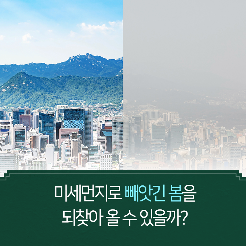 미세먼지로부터 빼앗긴 봄을 되찾겠다1에 관한 인포그래픽입니다. 자세한 사항은 하단에 있습니다.