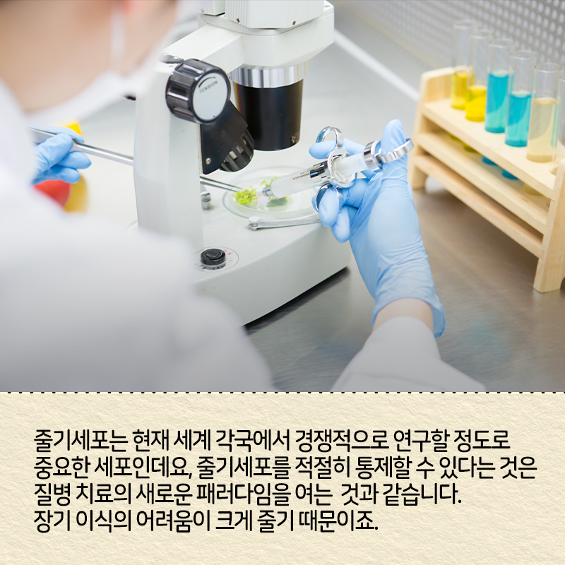 직접 줄기세포를 만들고 싶다는 꿈에 도전하다3에 관한 인포그래픽입니다. 자세한 사항은 하단에 있습니다.