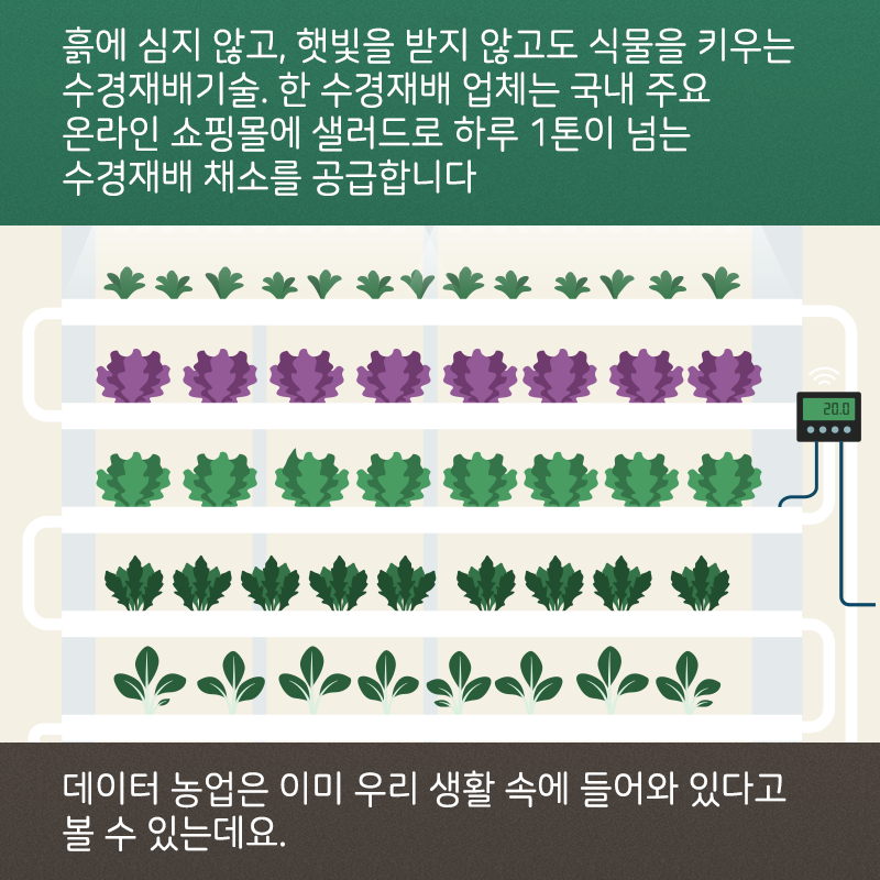데이터로 농업혁명을 이끄는 농업정보시스템의 선구자2에 관한 인포그래픽입니다. 자세한 사항은 하단에 있습니다.