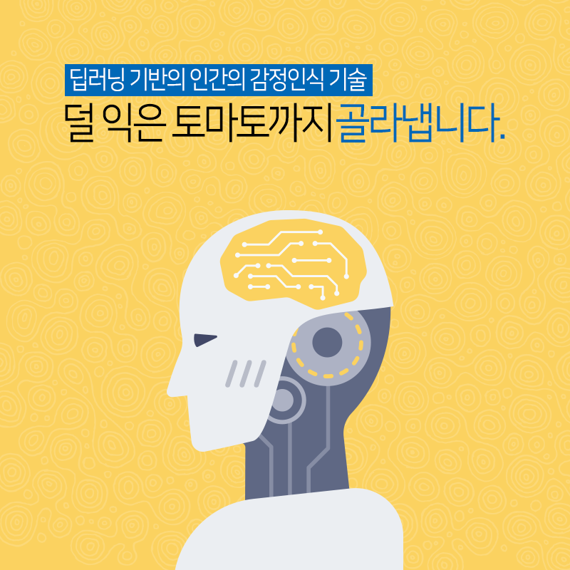 스마트팜에서 얼굴 표정으로 덜 익은 토마토까지 골라내는 기술을 개발하다1에 관한 인포그래픽입니다. 자세한 사항은 하단에 있습니다.