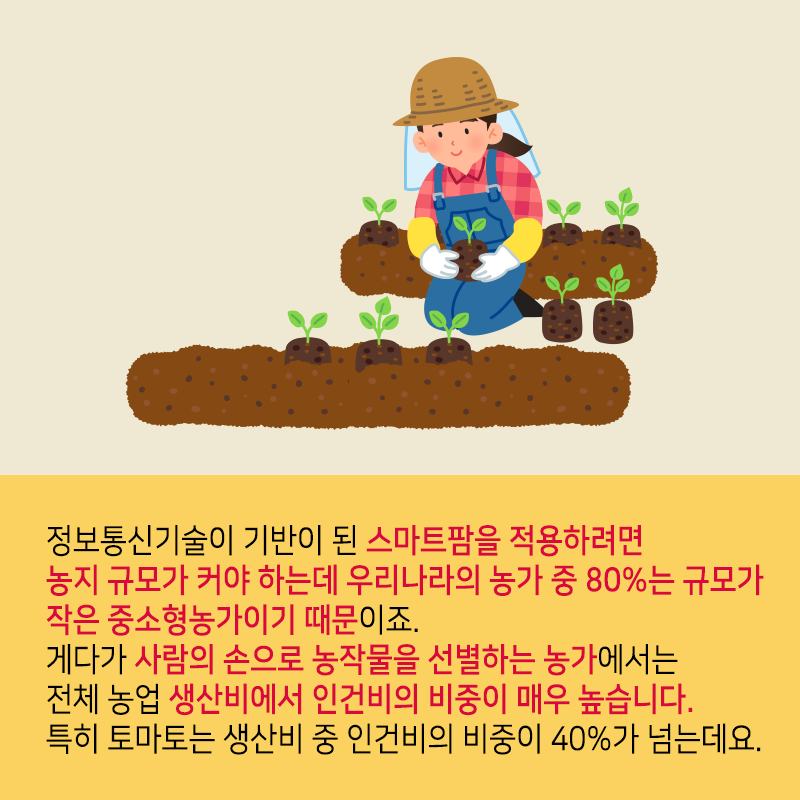 스마트팜에서 얼굴 표정으로 덜 익은 토마토까지 골라내는 기술을 개발하다3에 관한 인포그래픽입니다. 자세한 사항은 하단에 있습니다.