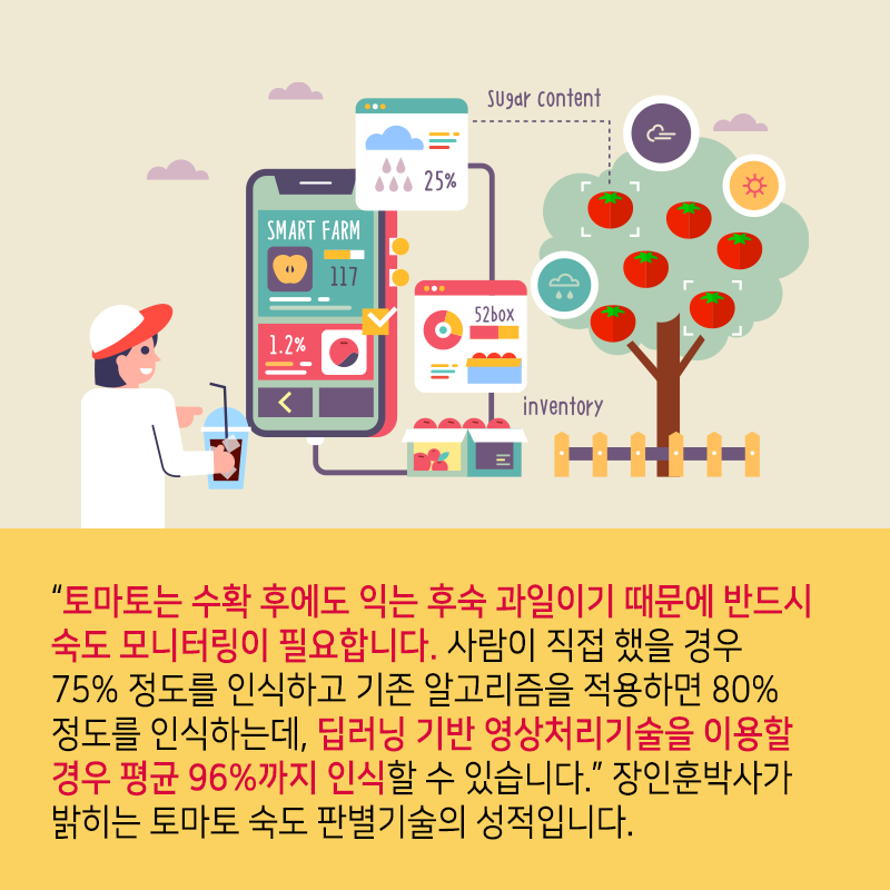 스마트팜에서 얼굴 표정으로 덜 익은 토마토까지 골라내는 기술을 개발하다6에 관한 인포그래픽입니다. 자세한 사항은 하단에 있습니다.
