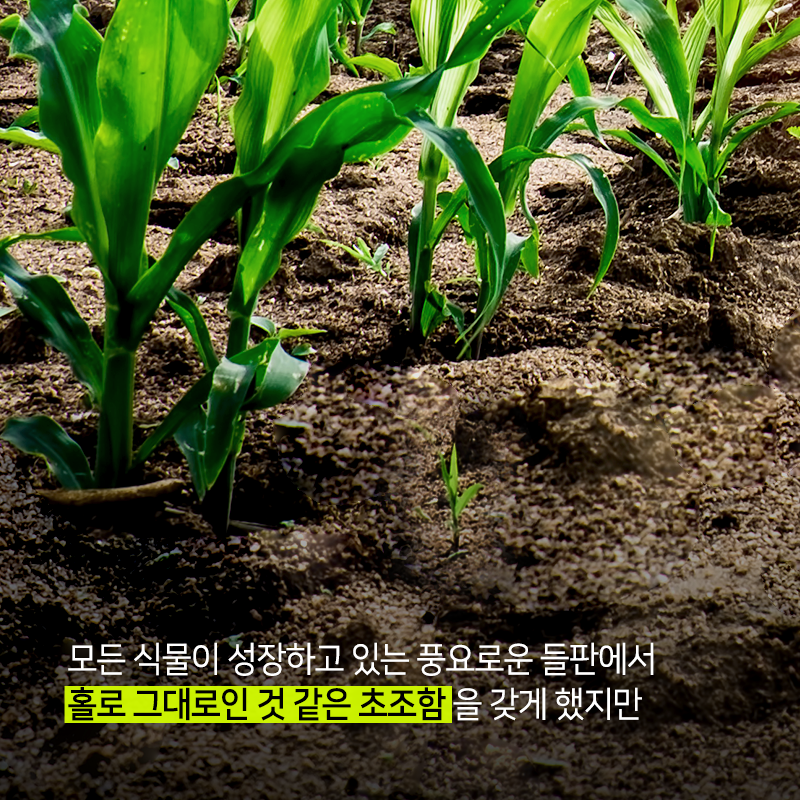 불안을 신뢰로 바꾸는 방법8에 관한 인포그래픽입니다. 자세한 사항은 하단에 있습니다.