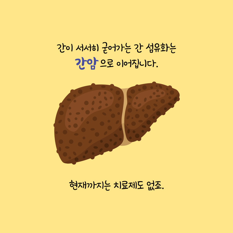 치료제 없는 간섬유화, 천연물로 희망의 길을 열다4에 관한 인포그래픽입니다. 자세한 사항은 하단에 있습니다.