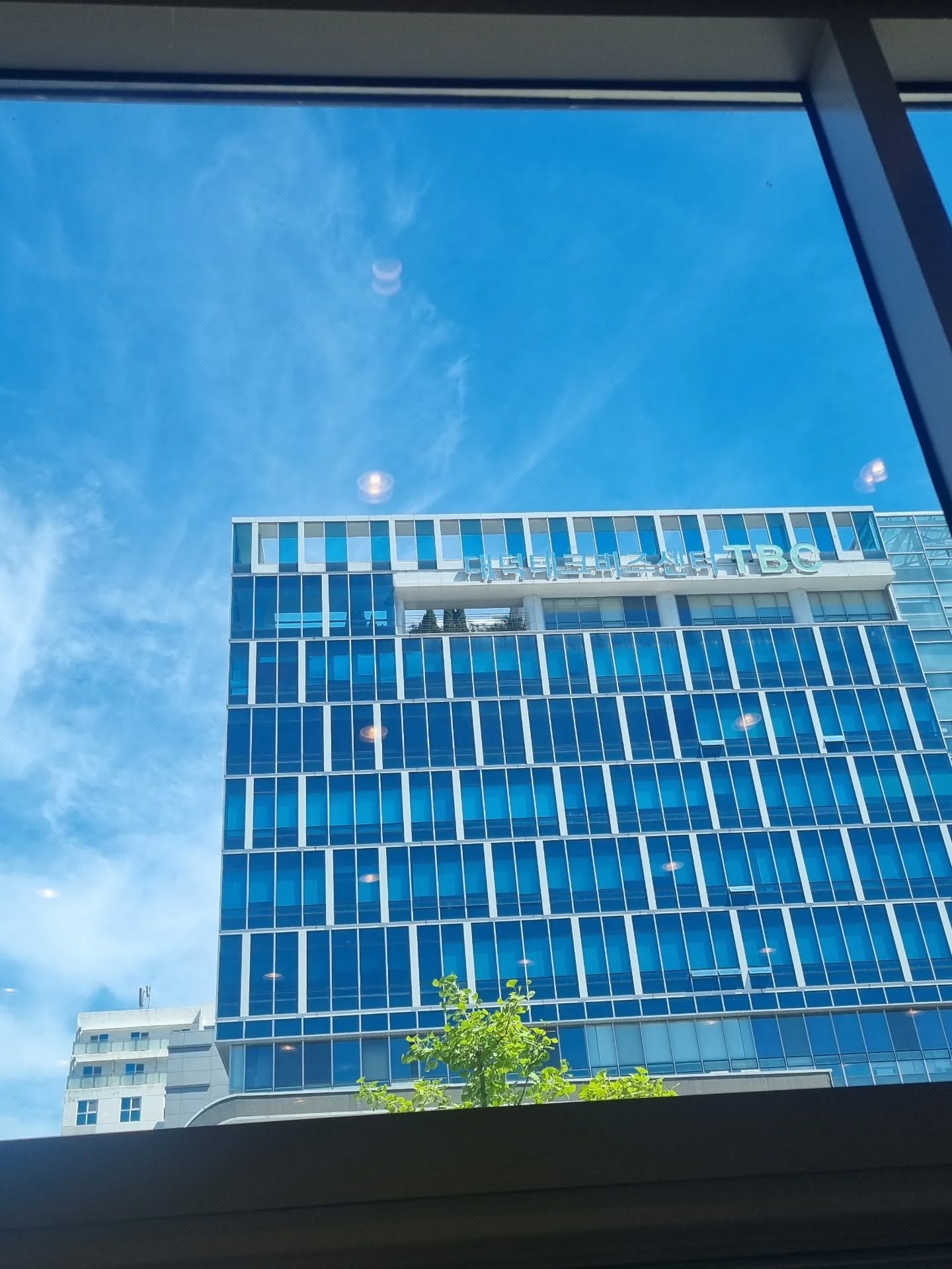 도룡동2