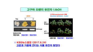 출연(연) 과학자로서 무엇을 해서 정당한 대우를 받을 것인가 커버 이미지